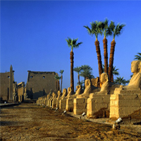 Best Christmas Travel in Egypt